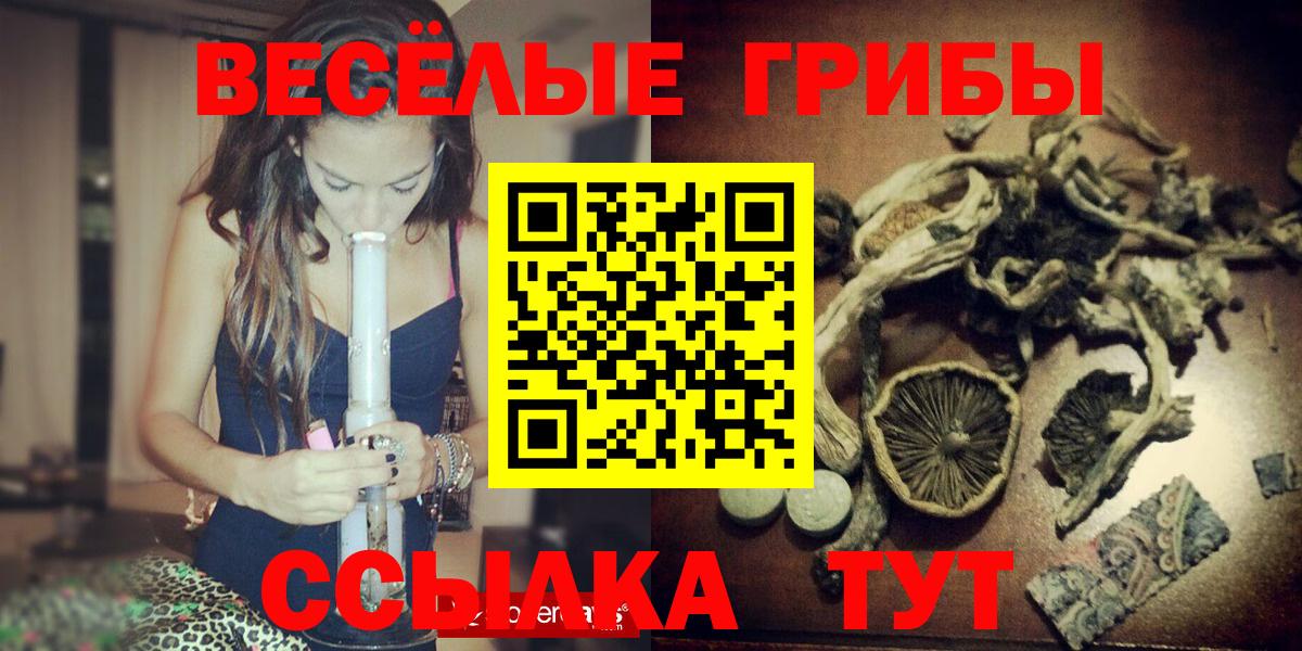 Псилоцибиновые грибы Psilocybe Боровичи