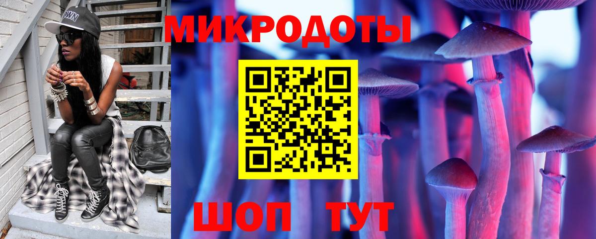 Галлюциногенные грибы Psilocybe  Вход с VPN  купить наркотик  Боровичи 